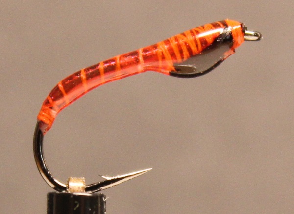 Nymphe bloodworm-neonrot-schwarz